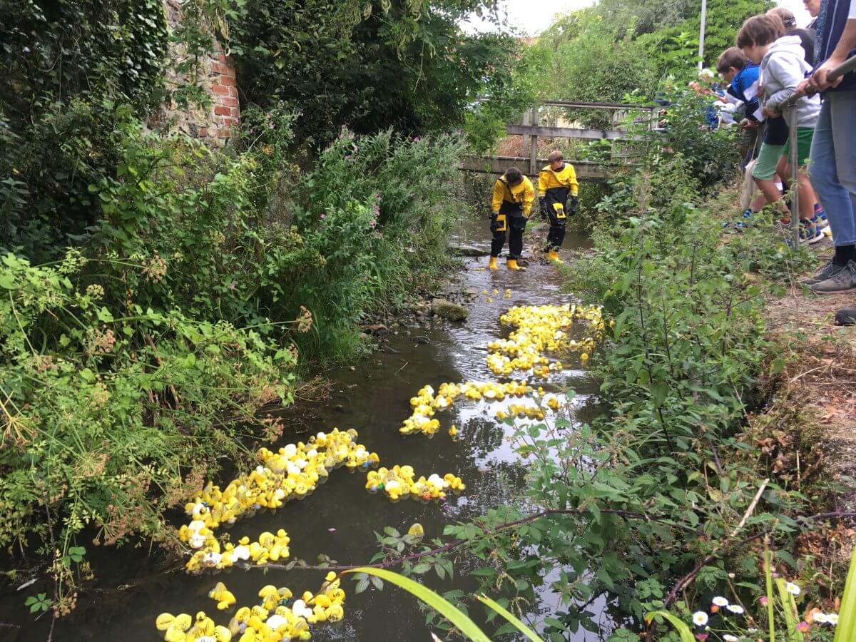 Things to do in Lyme Regis with kids: The Duck Race!
