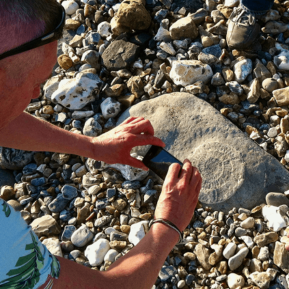 Fossil hunting in Lyme
